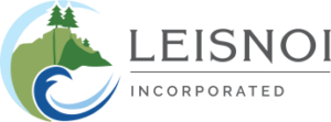 Leisnoi, Inc.